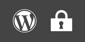 How to Maintain WordPress Website Securely?