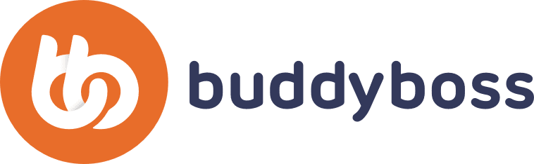 BuddyBoss customization services