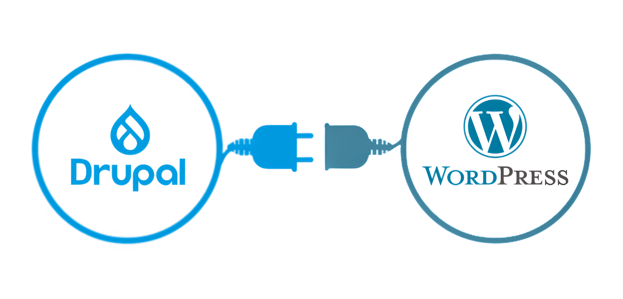 Drupal to WordPress Migration